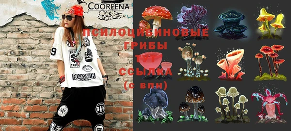 молекула духа Остров