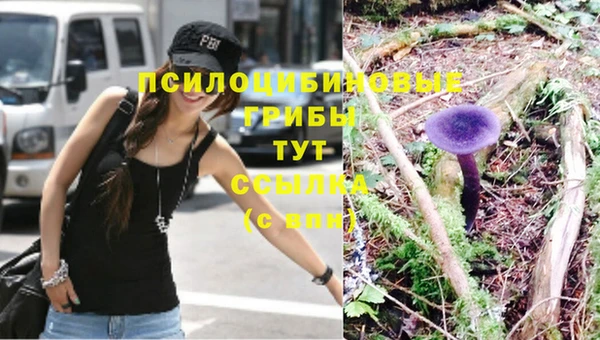 трава Бердск